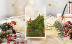27 PCS Glass Plant Terrarium Kit with LED Grow Light– DIY Moss Terrarium Kit for Adults, Mini Garden Set for Succulent, Real Live Moss, and Air Plants – Home Office Decoration & Unique Gift fo Friend