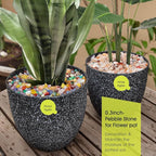 RIFNY Decorative Polished Rocks, 0.3" Gravel Rocks Crushed Crystal for Plant Flower Pots Succulents Cactus Bamboo Plant Vase Filler Aquarium Fish Tank Decorations and DIY Craft (1.5 LB, Color)