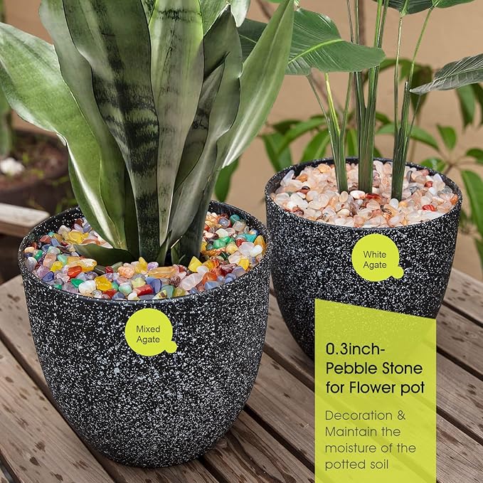 Decorative Polished Rocks, RIFNY 0.3" Gravel Rocks Crushed Crystal for Plant Flower Pots Succulents Cactus Bamboo Plant Vase Filler Aquarium Fish Tank Decorations and DIY Craft (3 LB, White)