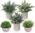 Lemonfilter Small Fake Plants, 5 Pack Mini Potted Artificial Eucalyptus Plant Greenery Plastic Fake Plants Faux Plant for Table Shelve Bathroom Kitchen Rustic Farmhouse Indoor Decor