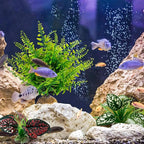 Moonorange Reptile Artificial Plants, Terrarium Plants Decorations Supplies, Aquarium Fish Tank Plants, Amphibian Habitat Hideout Tank Accessories(L Set-3pcs/E)