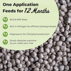 Bonsai Fertilizer Pellets by Perfect Plants - 5 Year Supply - All Natural Slow Release - Extended Enrichment for All Live Bonsai Tree Types
