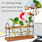 Plant Terrarium with Wooden Stand, The Ultimate Gift for Plant Lovers, Propagation Station with Retro Glass Bulbs, Creating a Stunning Tabletop Display of Hydroponic Greenery in Any Home or Office