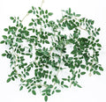 mizii 2 Strands Artificial Vines Garland 68" Fake Vine with Small Green Leaves Silk Rose Leaf Faux Hanging Plants Greenery Decorations for Bedroom Room Table Centerpieces Wedding Decor (Rose Leaves)