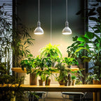 Barrina LED Grow Light Bulb, 50W (2 x 25W) Full Spectrum, with 16.4FT Power Cord, Hanging Grow Lights for Indoor Plants, Large Tall Plant, Garden, Flowers, Greenhouse, 2-Head