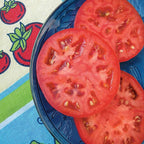 Bonnie Plants Red Beefsteak Tomato 19.3 oz. 4-pack