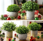 Lemonfilter Small Fake Plants, 5 Pack Mini Potted Artificial Eucalyptus Plant Greenery Plastic Fake Plants Faux Plant for Table Shelve Bathroom Kitchen Rustic Farmhouse Indoor Decor