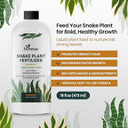16oz Snake Plant Fertilizer for Snake Plant Live - Makes 96 Gallons of Fertilizer for Indoor Plants, Ideal for Healthy Growth, Strong Leaves, and Vibrant Color - Rich in Macro & Micronutrients