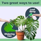 Monstera Plant Food – Liquid Fertilizer for Bigger Split Leaves, Lush Growth & Strong Roots, 1 Gallon