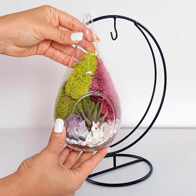 Creations by Nathalie DIY 7" DIY Teardrop Terrarium Kit - Build Your Own Glass Terrarium for Adults & Teens with Moss, Crystals, Tools & Decor - Handcrafted in the USA (Live Plant Included)