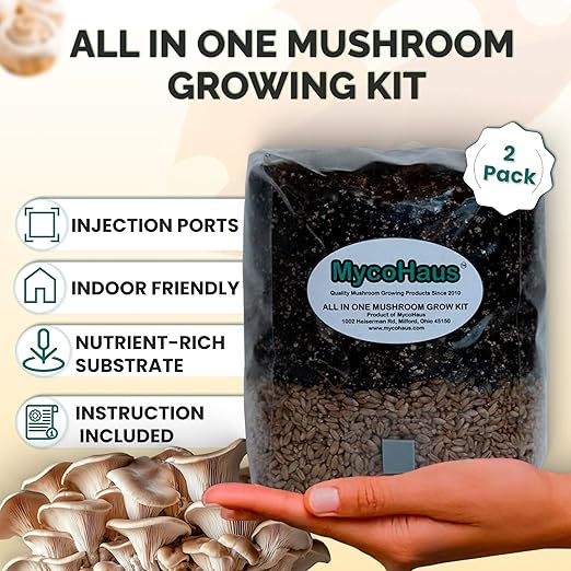 MycoHaus Mushroom All in One Growing Kit with Injection Ports | Indoor Grow Bags for Mushrooms | Home Cultivation Supplies | Without Spores | 2 Pack