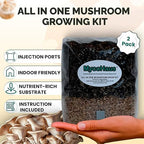 MycoHaus Mushroom All in One Growing Kit with Injection Ports | Indoor Grow Bags for Mushrooms | Home Cultivation Supplies | Without Spores | 2 Pack