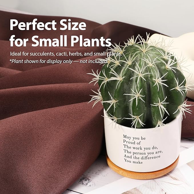 May You Be Proud of The Work You Do Inspirational Gift Ceramic Succulent Plant Pot with Tray Coworker Leaving Motivational Gifts Home Decor Plant Lover 3.5 Inch White (No Plants) (with Bamboo Tray)
