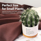 May You Be Proud of The Work You Do Inspirational Gift Ceramic Succulent Plant Pot with Tray Coworker Leaving Motivational Gifts Home Decor Plant Lover 3.5 Inch White (No Plants) (with Bamboo Tray)