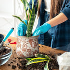 Newtay 6 Inch Ceramic Plants Pots Vintage Ceramic Flower Planters Crackle Glaze Finish Flower Pots Decorative Floral Vintage Planters for Living Room Garden Home Decor Gifts(Fresh)