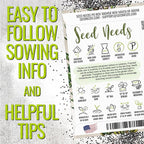 Seed Needs Thyme & Oregano Seeds for Planting Fresh Kitchen Herbs - Non-GMO Heirloom & Untreated Perennial Herb Seed to Plant a Culinary Garden Indoors or Outdoors (2 Pack Duo)