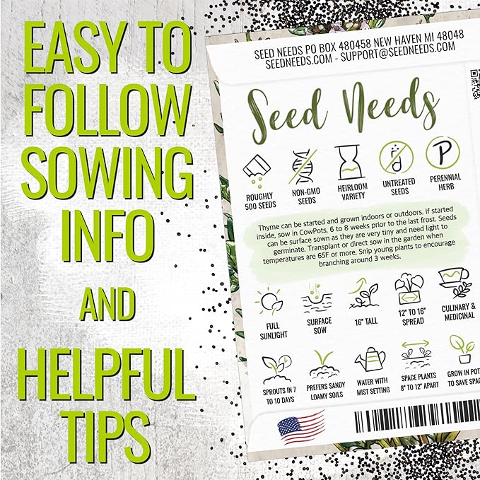 Seed Needs Rosemary & Thyme Seeds for Planting Fresh Kitchen Herbs - Non-GMO Heirloom & Untreated Perennial Herb Seed to Plant a Culinary Garden Indoors or Outdoors (2 Pack Duo)