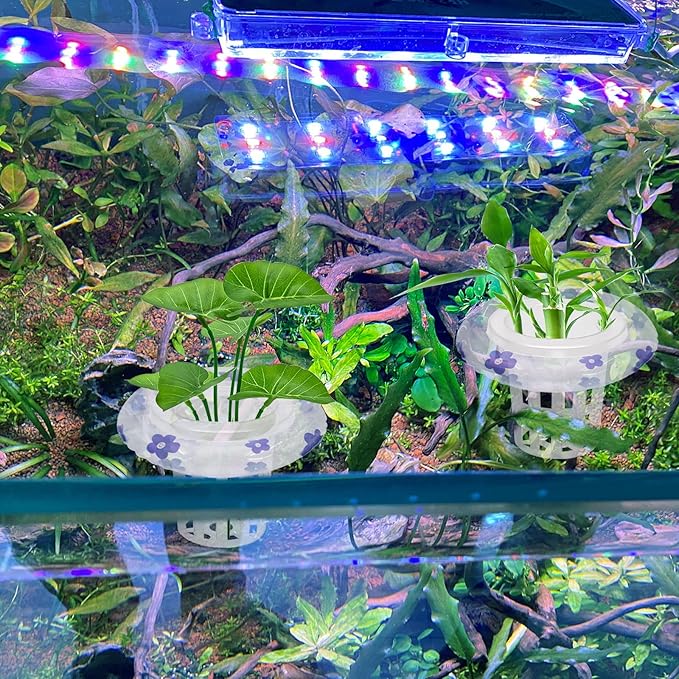 4 Sets Floating Aquarium Plant Holder, Translucent Plastic Fish Tank Basket with Floating Rings, Aquarium Hydroponic Basket for Live Plant Cultivation and Aquascape Decorations