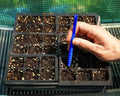 Little Dibby Seed Sowing Tool – Precision Garden Dibber for Planting Seeds & Seedlings – Depth Marked 1/8”–1½” for Accurate Seed Starting – Made in USA by Spoken Garden (Deep Blue)