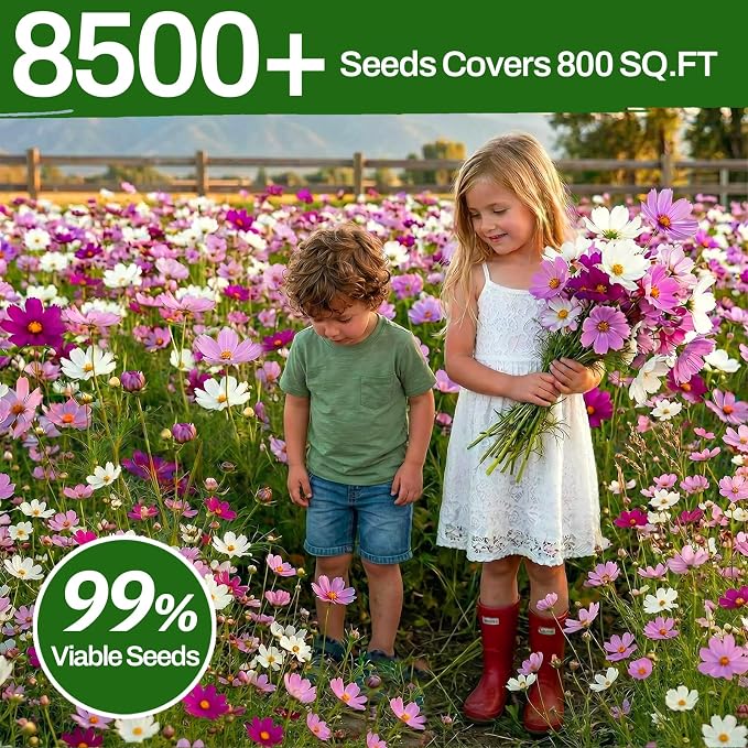 LUOJIBIE Cosmos Seeds, 8500+ Mixed Colors Cosmos Seeds for 2026, High Germination Non-GMO Cosmos Flower Seeds for Planting, Wildflower Seeds for Planting Indoor Outdoor, Open Pollinated