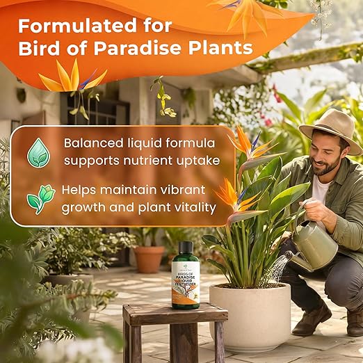 Professional Bird of Paradise Fertilizer Liquid 3-1-2 Concentrate 8 oz, Premium Plant Food for Indoor Bird of Paradise Plants, Liquid Fertilizer for Houseplants, Made in USA
