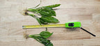 Live Aquarium Plants Bundle - Assorted Freshwater Plants - Low | Medium | High Light