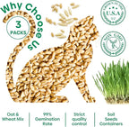 Groundio Cat Grass Seeds, All in 1 Growing Kit for Indoor Cats, Organic Cat Grass Seed with High Germination Rate, Heirloom | Non-GMO | Coco Coir | BPA Free Container