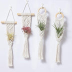 4 Pack Air Plants Holders, Wall Planters for Indoor Plants | Macrame Plant Hanger, Air Plant Hanger for Air Fern, Tillandsias (for Air Plant, NO Plant Included)
