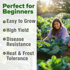 HOME GROWN Georgia Southern Collard Green Seeds 600+ Heirloom Non-GMO Seeds for Planting, High Germination, Heat Tolerant Leafy Green, Slow to Bolt, Nutritious Southern Classic (Brassica oleracea)