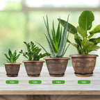 Fodetyff 10 Inch Flower Pots Planters for Indoor Outdoor Plants, 3 Pack Plastic Large Plant Pots with Drainage Hole & Tray, Modern Decorative Garden Pot with Saucer, Plant Container for House