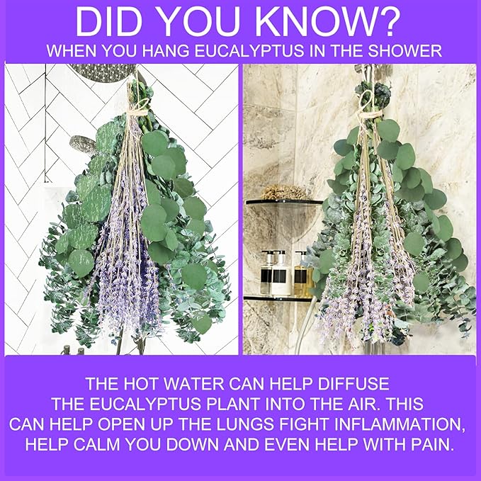 115 PCS Large Dried Preserved Eucalyptus Stems & Lavender Flowers Bundle for Shower, 17'' Real Fresh Hanging Silver Dollar Leaves, Aromatic Self-Care Shower Plants, Natural Fragrance, Home Decor