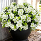 Artificial Geranium Flowers for Outdoor Decoration, 6 Bundles UV Resistant Silk Geranium Fake Plants Faux Flowers for Front Porch Garden Patio Window Box Outside Indoor Decor (White)
