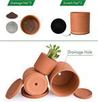 D'vine Dev Terracotta Pots for Plants, 4.2 Inch 5.3 Inch 6.5 Inch, Succulent Planter Pot with Drainage and Saucer, 40-T-A-0
