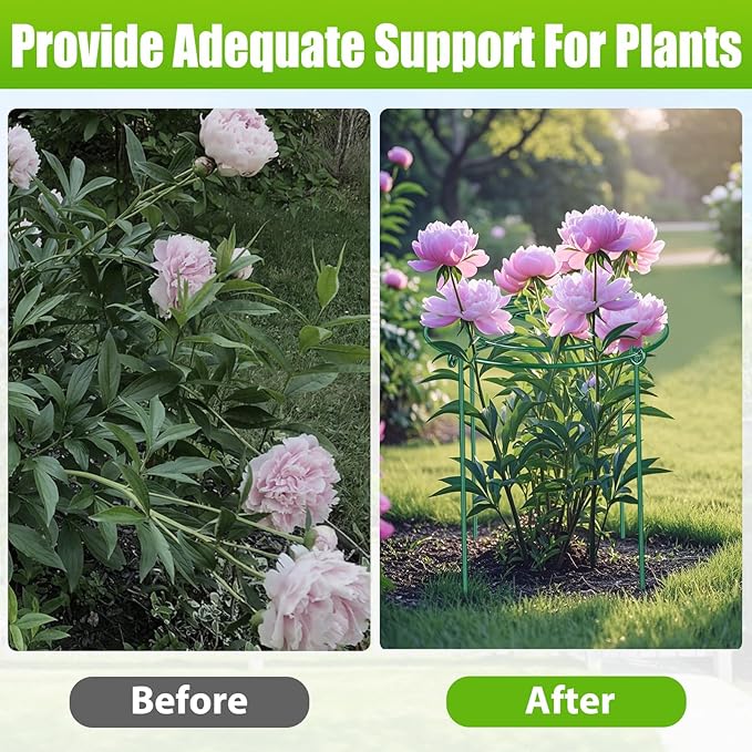 4 Pack Peony Cages and Supports, 14" Dx24 H Plant Supports for Outdoor Plants, Heavy Duty Metal Peony Support Cage Flower Support Rings, Plant Support Ring for Rose Tomato Hydrangea Strawberry