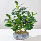 NASAMA Realistic Artificial Potted Plant, Faux Indoor Greenery for Home Office Living Room Bookshelf Bathroom Decor, Low--Maintenance Space-Saving Fake Plants with Modern Decorative Vase