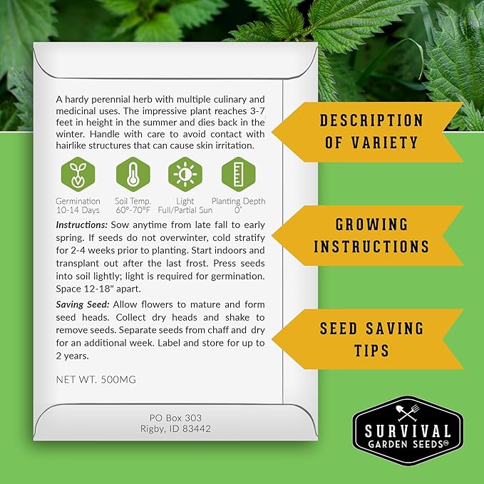 Stinging Nettle Seeds for Planting - Urtica Dioica Medicinal Herb & Edible Perennial - Common Nettle for Tea, Cooking & Wellness - Heirloom Non-GMO - Survival Garden Seeds (1 Pack)
