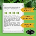 Stinging Nettle Seeds for Planting - Urtica Dioica Medicinal Herb & Edible Perennial - Common Nettle for Tea, Cooking & Wellness - Heirloom Non-GMO - Survival Garden Seeds (2 Packs)