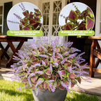 12 Bundles Artificial Coleus Flowers | UV Resistant No Fade Silk Faux Plants | Spring Summer Outdoor Fake Greenery for Garden Patio Planters Front Porch Pathway Decor (Purple)