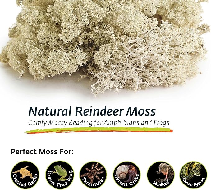 Galapagos (05180 Reindeer Moss, Natural, 150in3 Header Bag