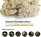 Galapagos (05180 Reindeer Moss, Natural, 150in3 Header Bag