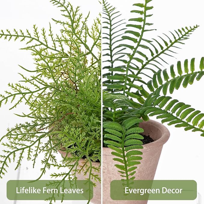 2 Pack Artificial Fern Potted Plant, Small Fake Plants in Pot, Faux Fern Plant for Home Office Farmhouse Living Room Bathroom Kitchen Tabletop Desk Shelf Decoration