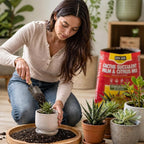 Premium Cactus & Succulent Soil Mix (0.5 Cu Ft) – Root Rot Protection with Volcanic Ash & Chicken Manure – Fast Draining Mix for Indoor Plants, Aloe, Citrus, & Palms – Organic, Ready-to-Use