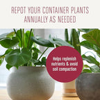 Miracle-Gro Houseplant Potting Mix - Fertilized Indoor Plant Soil for Containers, Designed to be Less Prone to Gnats, 4 qt.