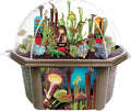 Carnivorous Plant Growing Kit – Grow Venus Fly Trap, Sundew, & Pitcher Plants in a Terrarium Biosphere