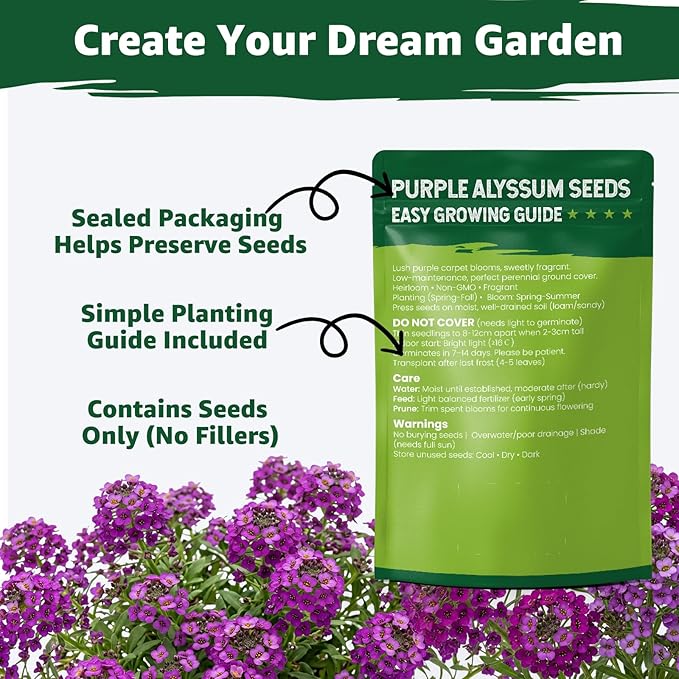 Alyssum Seeds for Planting - Purple Royal Carpet, Sweet Purple Alyssum Flower Seeds, Fragrant Perennial Ground Cover Seeds for Garden Beds, Borders and Containers.