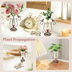 Vintage Glass Plant Propagation Station, Propagation Terrarium Flower Vases, Plant Lovers Gifts for Office Living Room Desk Decor (Copper Bird)