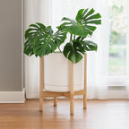 D'vine Dev Ceramic Planter with Natural Stand - 14 Inch Modern Round Flower Pot with Wood Planter Holder, Oatmeal, 55-B-R-8