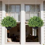 2PCS Artificial Boxwood Plants with Hanging Basket - Fake Aglaia Odorata Hanging Planters Faux Greenery UV Resistant Eucalyptus Leaves for Front Porch Patio Garden Farmhouse Home Decor (Green)