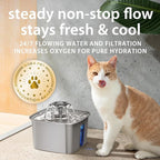 Veken Innovation Award Winner Stainless Steel Cat Water Fountain, 108oz/3.2L Automatic Pet Fountain Dog Water Dispenser with 6 Replacement Filters & Silicone Mat for Cats, Dogs, Multiple Pets (Silver)