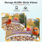 birdsnap® PAV-Bird Feeder with Camera,2K HD with 64GB Card, AI Identify Smart Bird House Cam Solar Panel,Live Stream,Motion Detection,Auto Record Video for Backyard Outdoors,Ideal Gift for Bird Lover